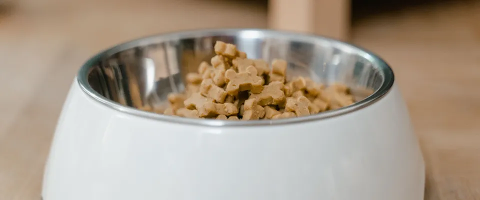 Comparateur croquettes chien : le comparatif indépendant 2026