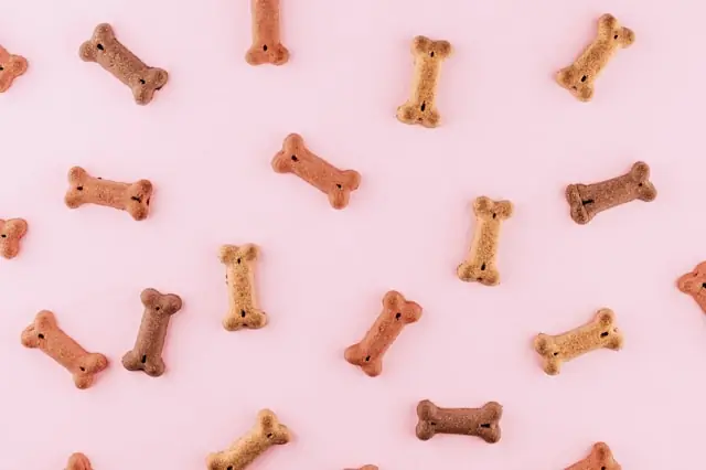 Croquette chien sans céréales 2026 : comparatif + avis véto