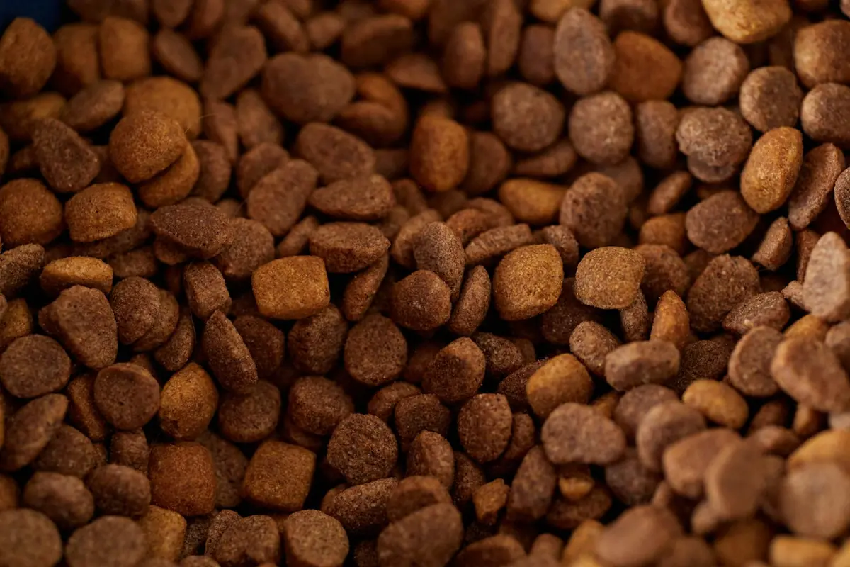 Croquettes françaises pour chien : top marques made in